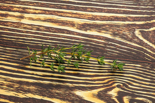 Aroma seasoning thyme stem with leaves photo