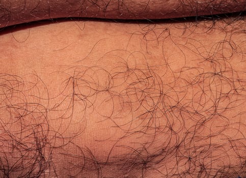 Hair on human skin, shin of hairy man's leg photo