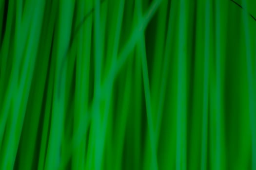 Abstract background texture plastic detail green line pattern with noise photo