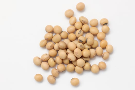 soybean seeds on white background photo