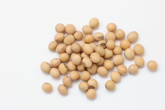 soybean seeds on white background photo