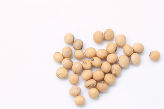 soybean seeds on white background photo