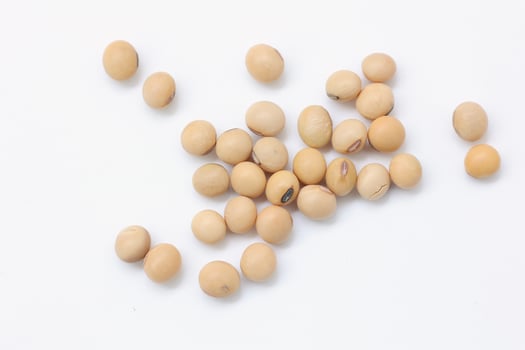 soybean seeds on white background photo