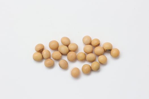 soybean seeds on white background photo