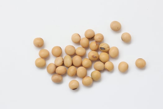 soybean seeds on white background photo