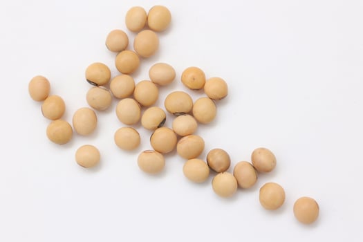 soybean seeds on white background photo