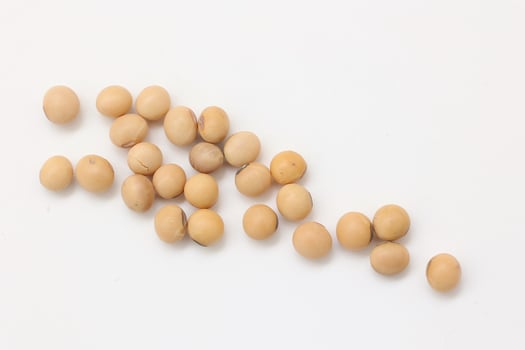 soybean seeds on white background photo