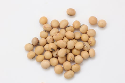 soybean seeds on white background photo