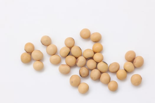 soybean seeds on white background photo
