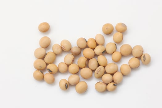 soybean seeds on white background photo