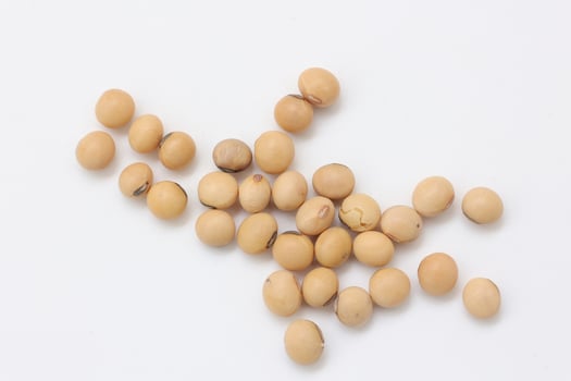 soybean seeds on white background photo