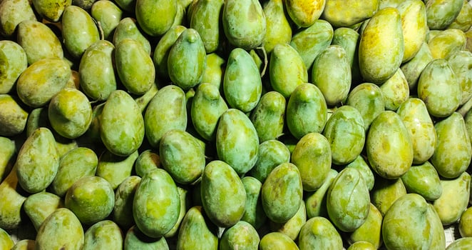 a pile of green mango on transparent background, Fresh mango fruit in the market, photo