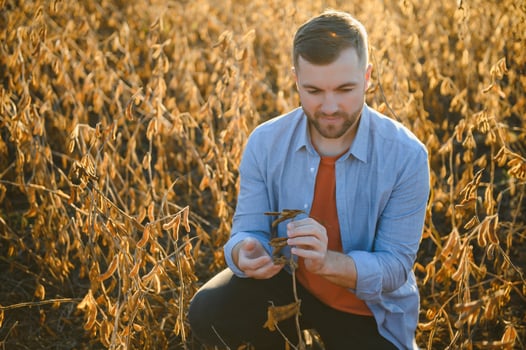 Farmer or agronomist inspecting soybean field. photo
