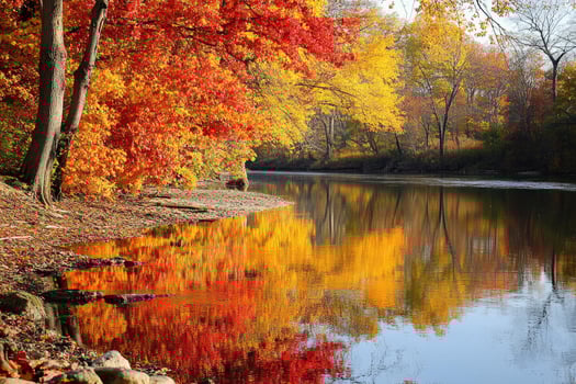 A peaceful riverbank adorned with autumn foliage. photo