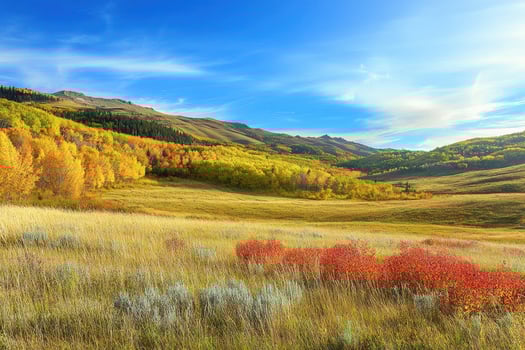 A picturesque meadow with vibrant autumn colors. photo
