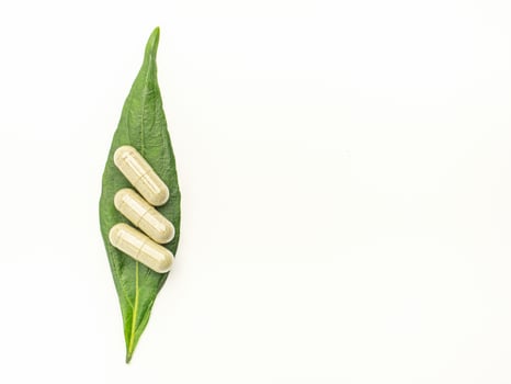 Close-up of three Andrographis paniculata capsules placed on green leaves isolated on white background. Space for text. Herbal, medicine, and healthcare concept photo