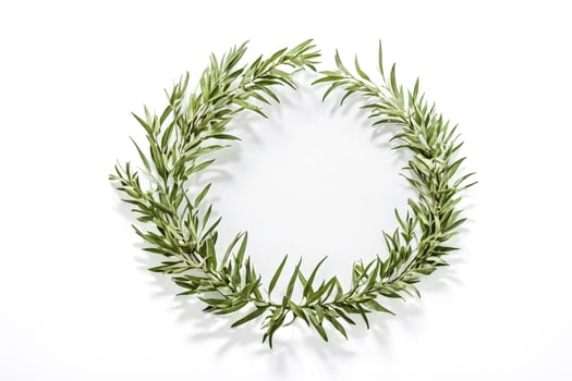 Green Leaves Frame on White Background photo