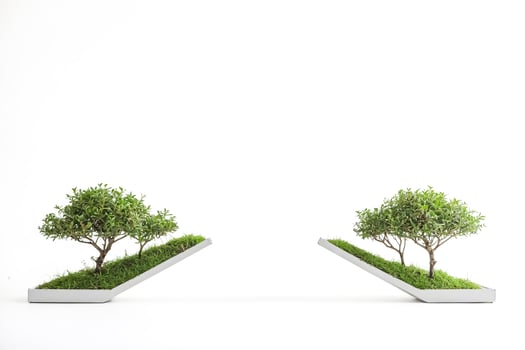 Two Small Trees in Geometric Planters on White Background photo