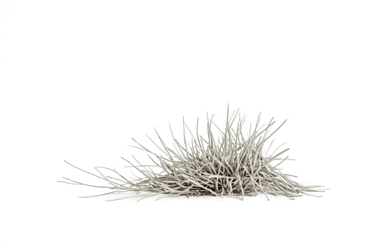 White Grass on White Background photo
