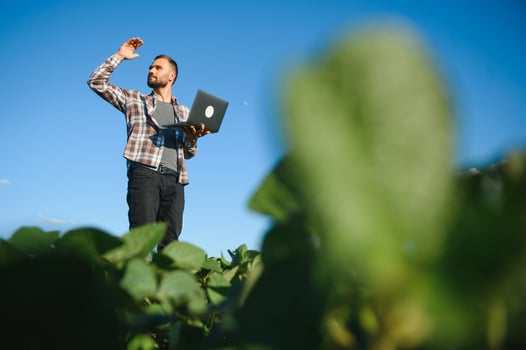 A farmer inspects a green soybean field. The concept of the harvest photo