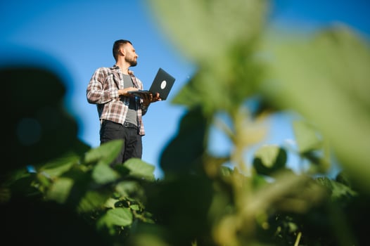 Farmer agronomist on a growing green soybean field. Agricultural industry. photo