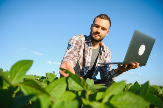 Agronomist inspecting soya bean crops growing in the farm field. Agriculture production concept. young agronomist examines soybean crop on field in summer. Farmer on soybean field photo