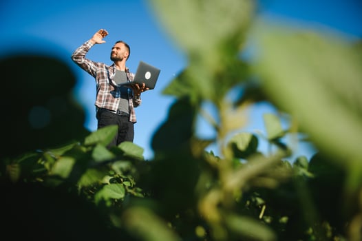 Young handsome agriculture engineer squatting in soybean field with laptop in hands in early summer photo