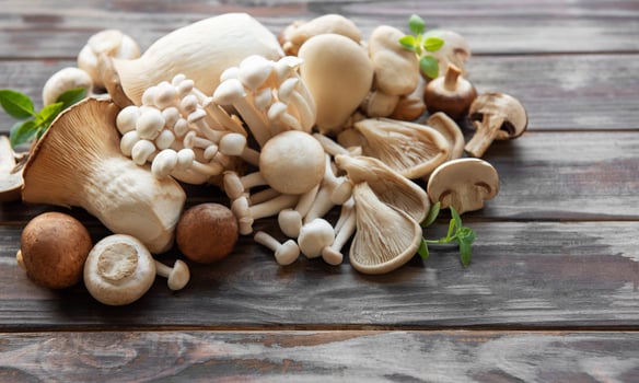Assortment of various mushrooms photo
