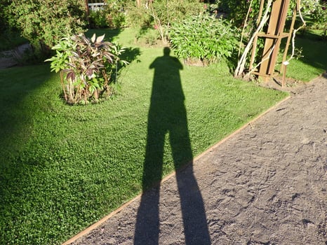 grow with your plants photo