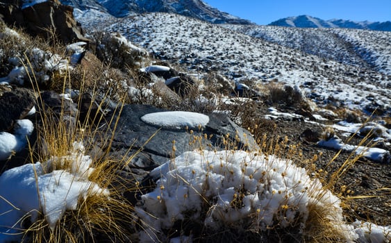 Snow in the mountains, Snow-covered mountain pass, desert plants under the snow in summer photo