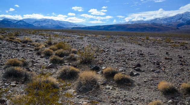 Landscape of a valley overgrown with desert vegetation and cacti in the rock desert in California, mountains in the background photo