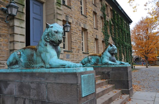 PRINCETON, NJ -15 NOVEMBER 2011 The bronze tiger at the front of Nassau Hall on Princeton University photo
