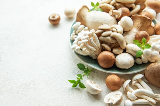 Assortment of various raw mushrooms on gray concrete background photo