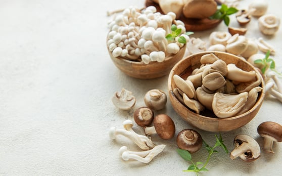 Assortment of various raw mushrooms photo