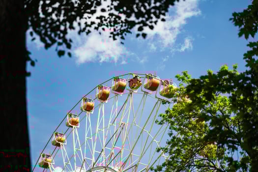 Ferris wheel in Gorky Park, view through the trees photo