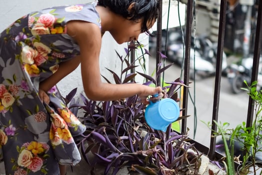 Cute 5 year old Asian little girl is watering the plant in the pots located at house balcony, Love of sweet little girl for the mother nature during watering into plants, Kid Planting photo