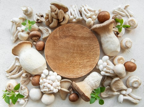 Assortment of various raw mushrooms photo
