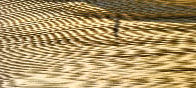 beige abstract background with texture photo
