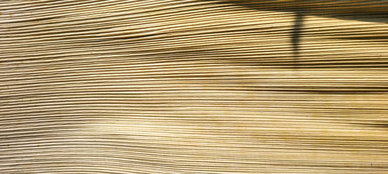 beige abstract background with texture photo
