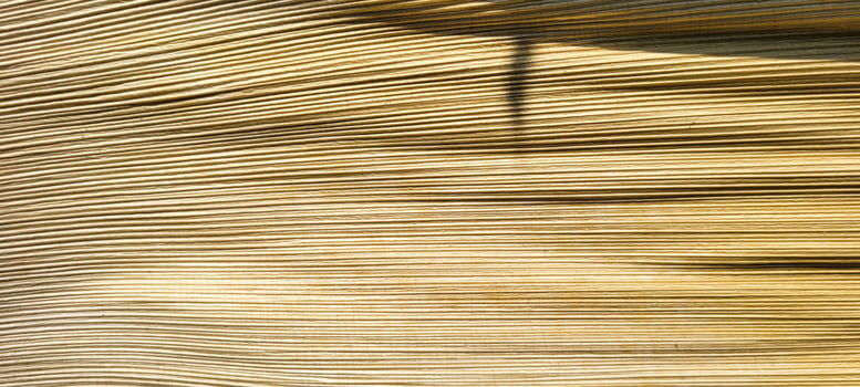 beige abstract background with texture photo