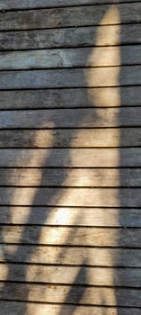old slatted wood background with shadows photo
