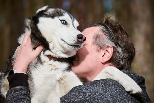 Adult man in gray sweatshirt hugs beloved Siberian Husky dog, true love of human and pet photo