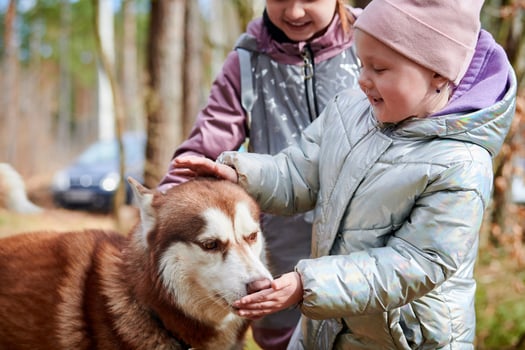 Two little girls in jackets playing and petting brown Siberian Husky dog, meet of dog and children photo