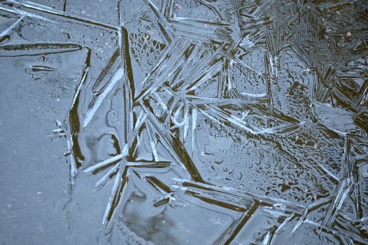 ice crystals on the ground photo