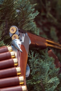 an open hunting rifle with cartridges and a knife in a leather case, lying on the branches of green fir. photo