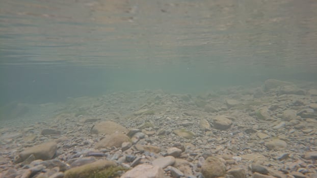 Underwater Rocky Bed in Mountains photo