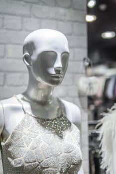 mannequin in the shop window photo