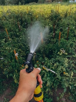 Gardener with a watering hose. Person spraying green grass lawn with hose sprayer. Irrigation with water, sunny day. Garden sprinkler in action. Landscaping. photo