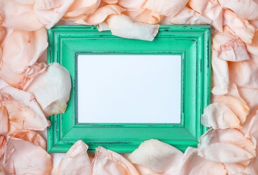 Wooden frame among the petals of roses. photo