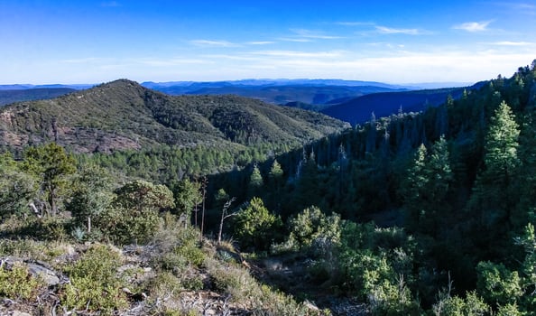 Sunlight falling on mountain forest valley with blue sky photo